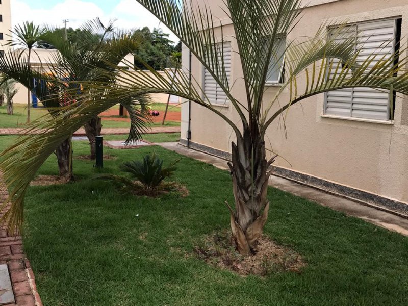 Apartamento à venda Parque Nossa Senhora da Candelaria com 45m² e 2 quartos por R$ 170.000 - 1562237035-935f8aae-e5b2-454a-bdb4-af0c279b1b89.jpg