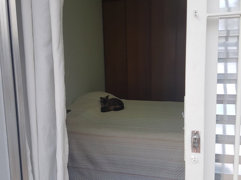 Casa à venda Parque Sao Pedro com 200m² e 2 quartos por R$ 700.000 - 2037794556-20190407-171542.jpg