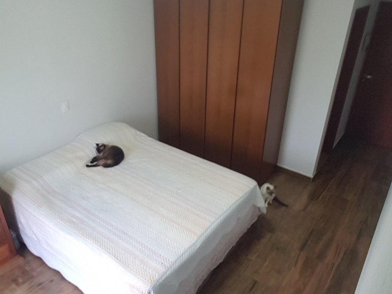 Casa à venda Parque Sao Pedro com 200m² e 2 quartos por R$ 700.000 - 706473383-20190407-171638.jpg