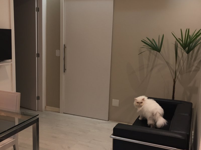 imóvel com 55m² - Praia do Canto - Vitória
