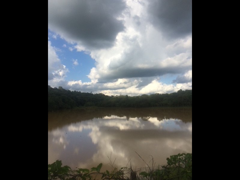 imóvel com 8200m² - Guacuri - Itupeva