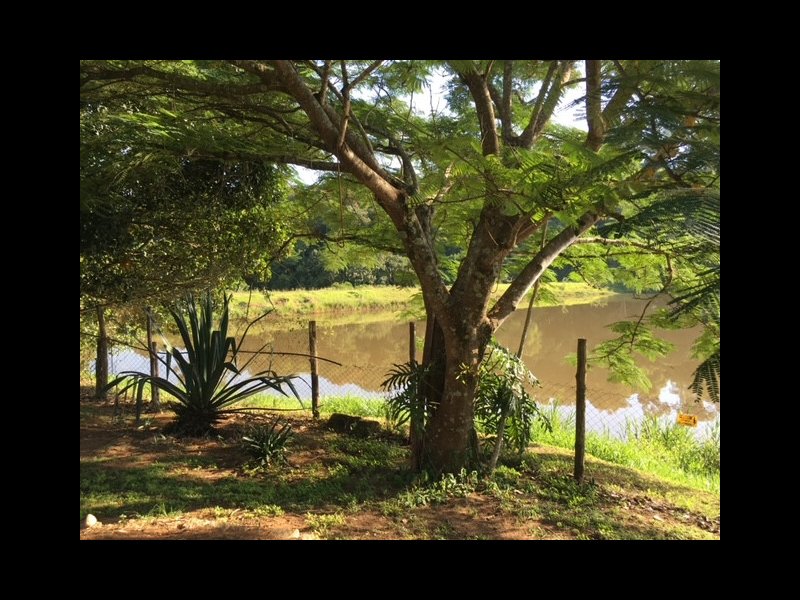 imóvel com 8200m² - Guacuri - Itupeva