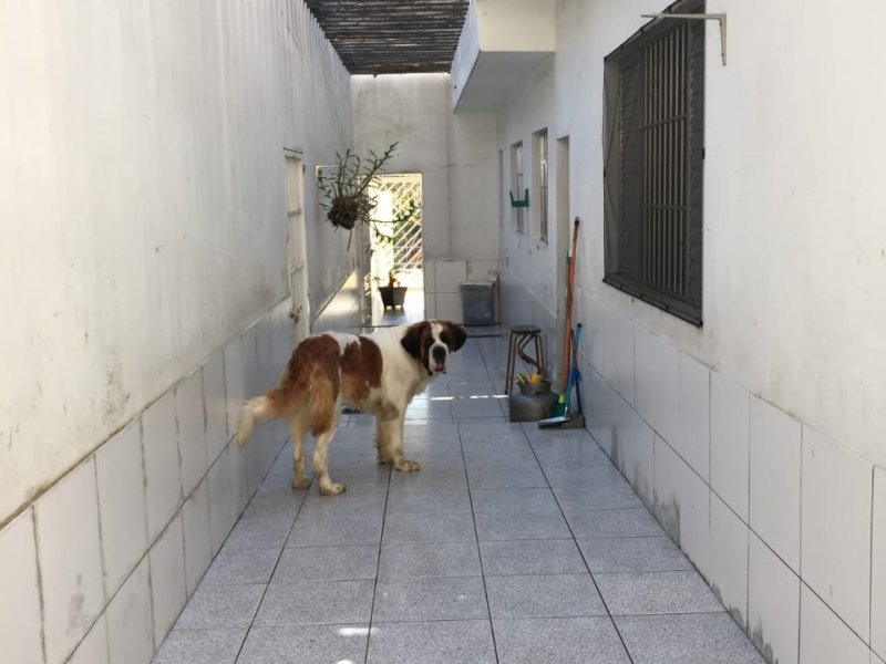 Casa à venda Jardim Floresta com 300m² e 3 quartos por R$ 750.000 - 1082225213-inbound4558353612698926685.jpg