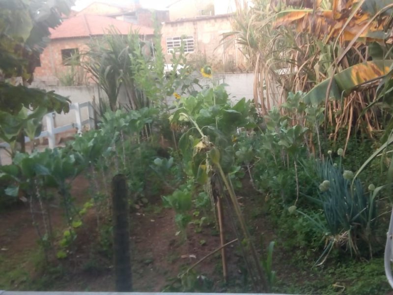Casa à venda Santo António  com 1m² e 2 quartos por R$ 65.000 - 287686192-img-20200916-wa0052.jpg