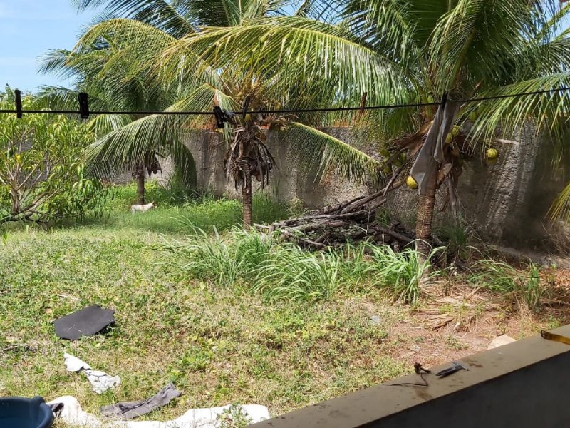 Casa à venda Tabuba com 1000m² e 2 quartos por R$ 170.000 - 1043355363-whatsapp-image-2020-10-17-at-20.jpeg