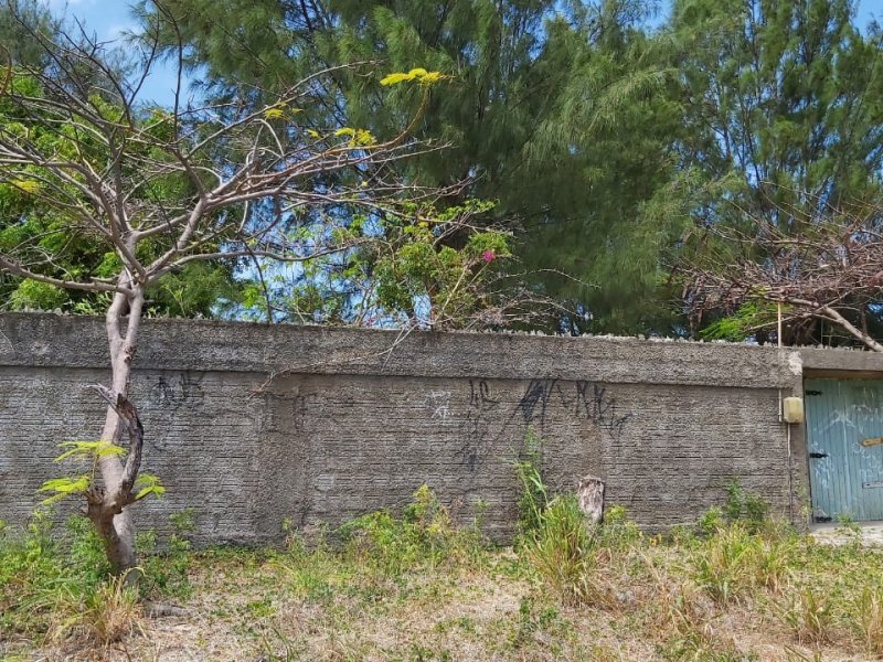 Casa à venda Tabuba com 1000m² e 2 quartos por R$ 170.000 - 993347801-whatsapp-image-2020-10-17-at-20.jpeg