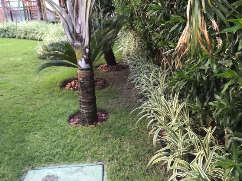 Apartamento à venda Casa Amarela com 159m² e 4 quartos por R$ 1.500.000 - 937802276-whatsapp-image-2020-09-27-at-19.jpeg