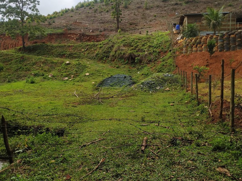 Chácara à venda Vila Nair com 1000m² e 1 quarto por R$ 80.000 - 181862142-img-20200106-101607.jpg