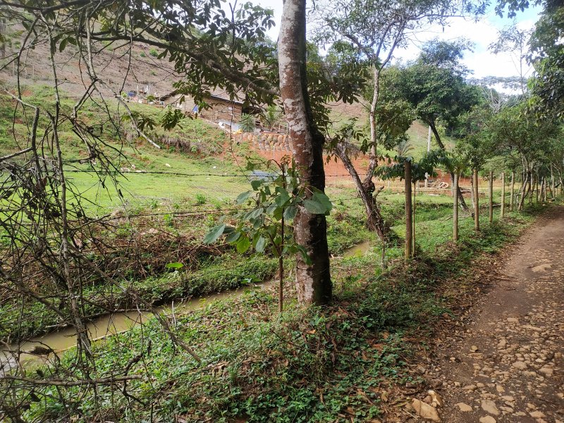 Chácara à venda Vila Nair com 1000m² e 1 quarto por R$ 80.000 - 451379915-img-20200106-101658.jpg