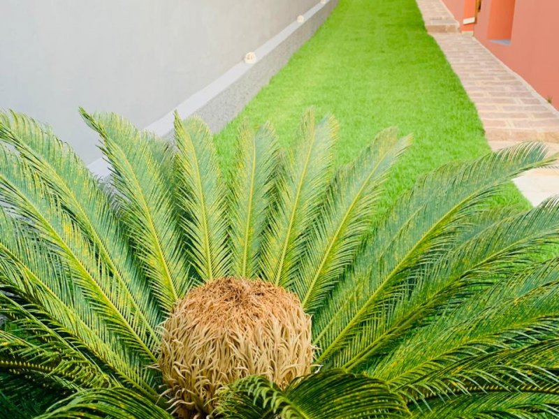 Chácara à venda Bomfim com 1100m² e 3 quartos por R$ 1.250.000 - 204445213-whatsapp-image-2020-10-19-at-08.jpeg