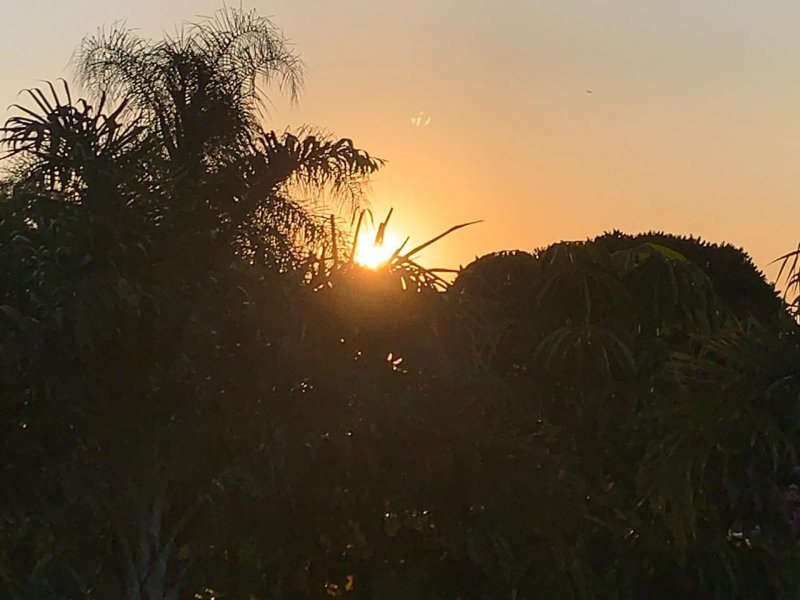 Chácara à venda Bomfim com 1100m² e 3 quartos por R$ 1.250.000 - 582975588-whatsapp-image-2020-10-19-at-08.jpeg