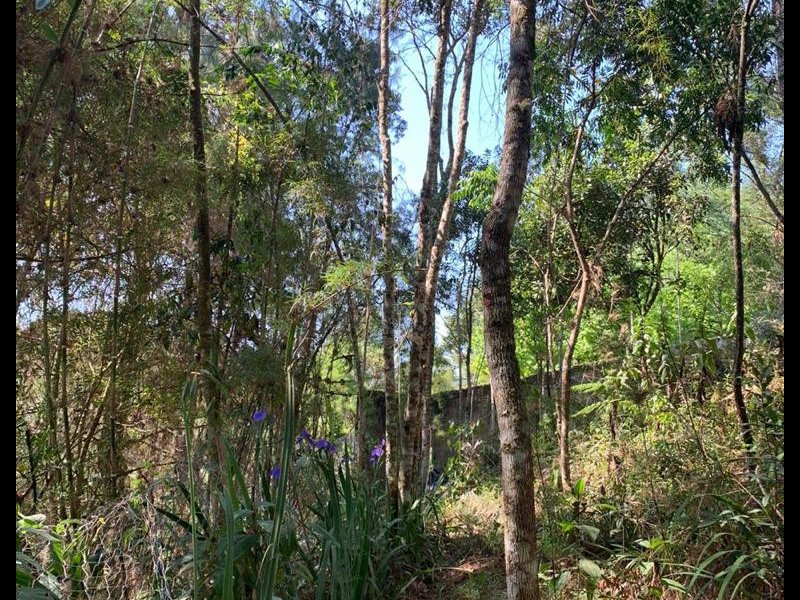 imóvel com 99m² - Alto Boa Vista - Campos do Jordão