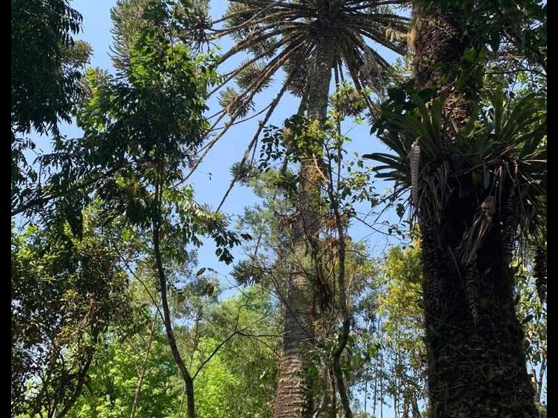 imóvel com 99m² - Alto Boa Vista - Campos do Jordão