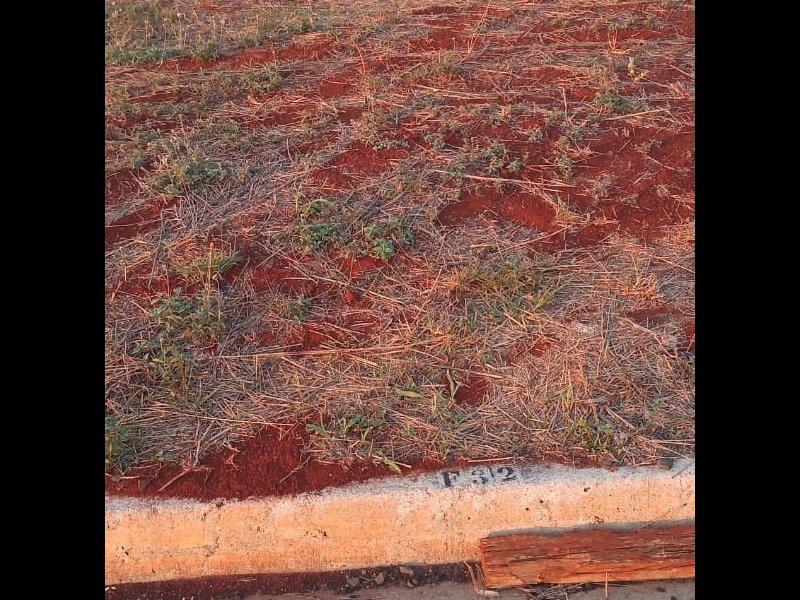 Terreno à venda Campo Grande com 200m² e  quartos por R$ 70.000 - 1073511649-img-20201011-wa0021.jpg