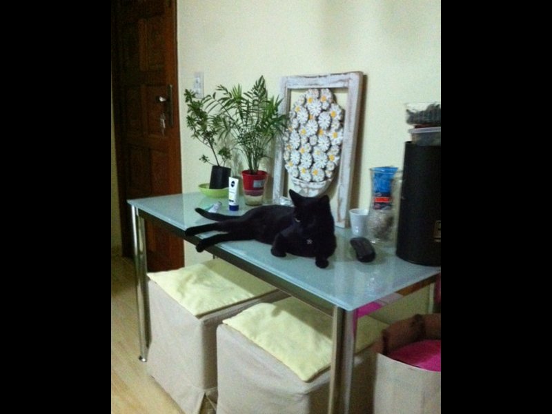 Apartamento à venda Centro com 23m² e 1 quarto por R$ 280.000 - 1754770628-img-0399.JPG