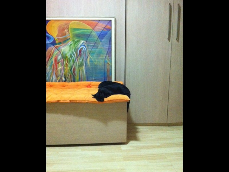 Apartamento à venda Centro com 23m² e 1 quarto por R$ 280.000 - 208913703-img-1170.JPG