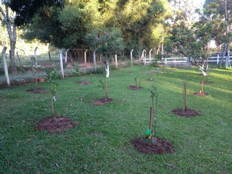 Sítio à venda Cruzeiro do Sul com 400m² e 4 quartos por R$ 447.000 - 1063090058-whatsapp-image-2020-10-21-at-21.jpeg
