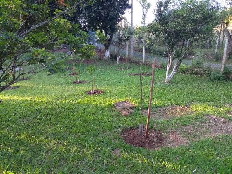 Sítio à venda Cruzeiro do Sul com 400m² e 4 quartos por R$ 447.000 - 1880210308-whatsapp-image-2020-10-21-at-21.jpeg