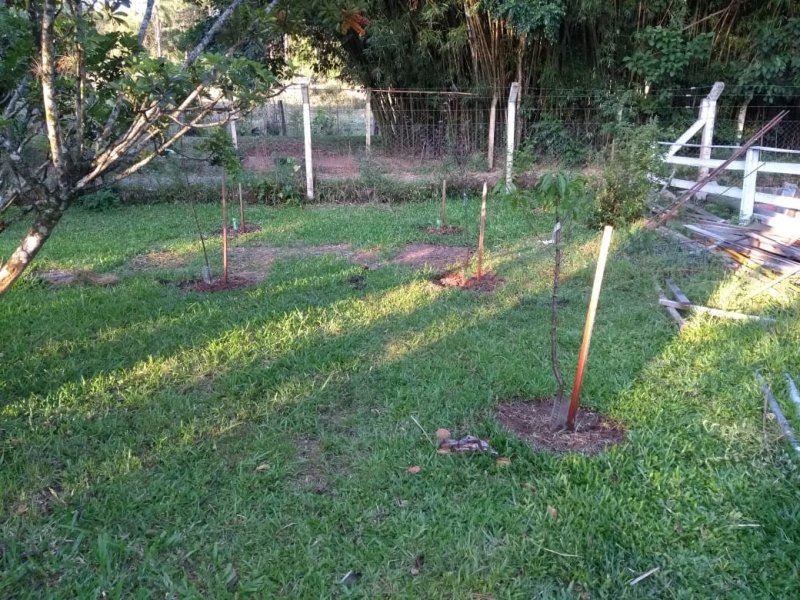 Sítio à venda Cruzeiro do Sul com 400m² e 4 quartos por R$ 447.000 - 464984577-whatsapp-image-2020-10-21-at-21.jpeg