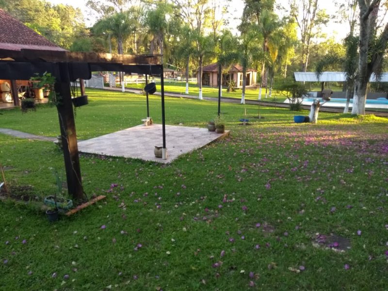 Sítio à venda Cruzeiro do Sul com 400m² e 4 quartos por R$ 447.000 - 610641261-whatsapp-image-2020-10-21-at-21.jpeg