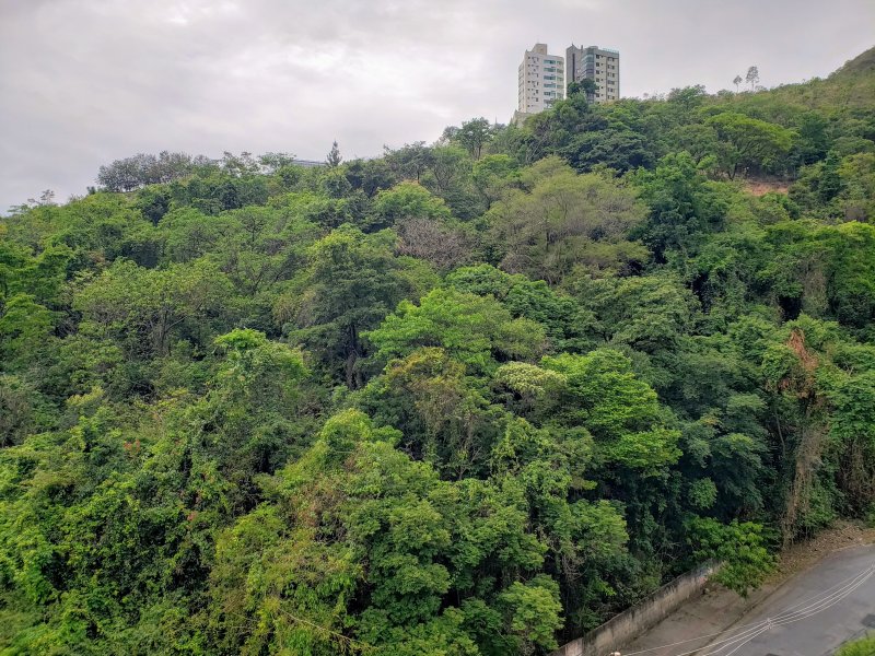 Apartamento à venda Buritis com 113m² e 4 quartos por R$ 670.000 - 1420887823-20201022-153407.jpg