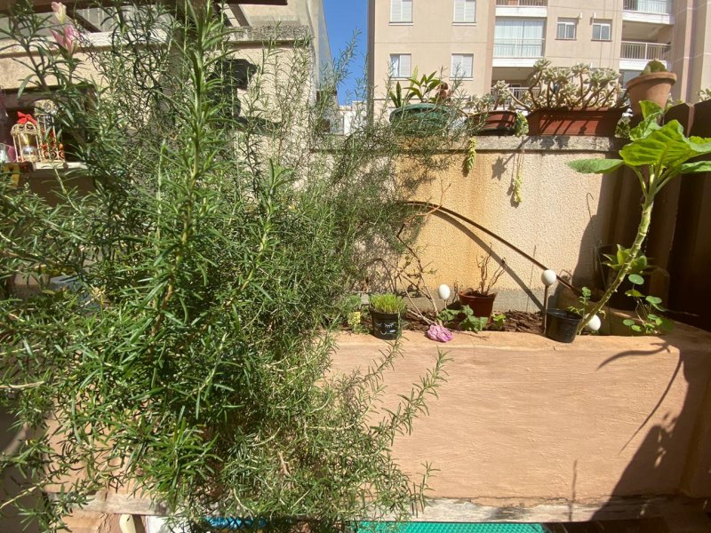 imóvel com 72m² - Jardim Sao Vicente - Campinas