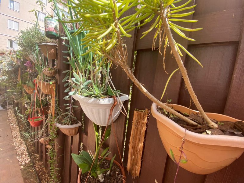 imóvel com 72m² - Jardim Sao Vicente - Campinas