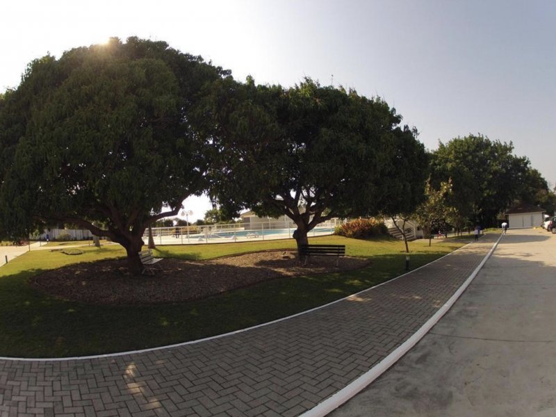 imóvel com 195m² - Campeche - Florianópolis
