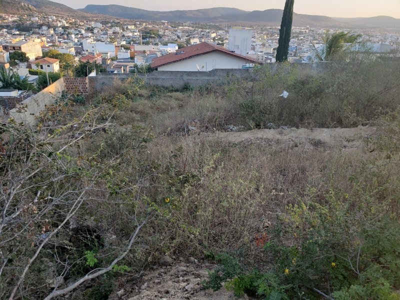 Terreno à venda São Cristóvão com 9000m² e  quartos por R$ 750.000 - 1363811654-20201002-165956.jpg