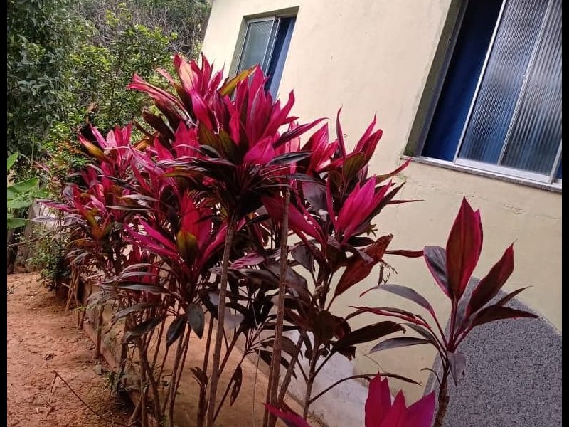 Chácara à venda portela com 650m² e 3 quartos por R$ 130.000 - 1920442769-119160930-310637783534235-5865945772810549177-n.jpg