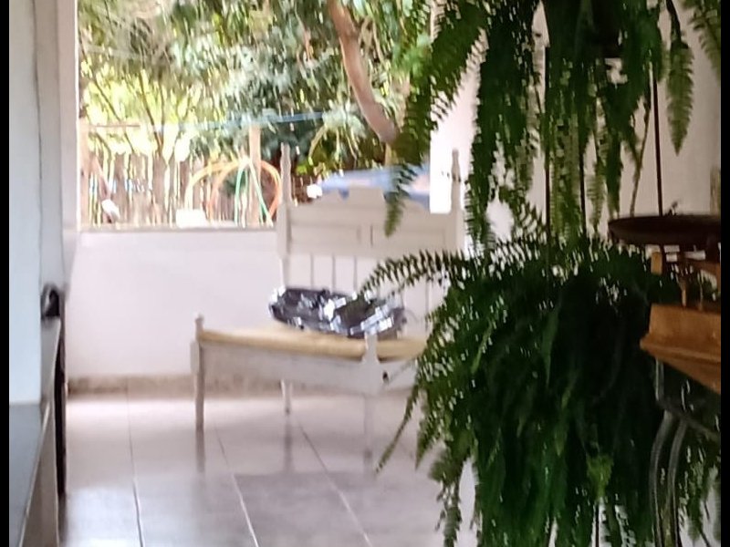 Chácara à venda portela com 650m² e 3 quartos por R$ 130.000 - 923770520-119473114-4632809290092341-5655146832346005670-n.jpg
