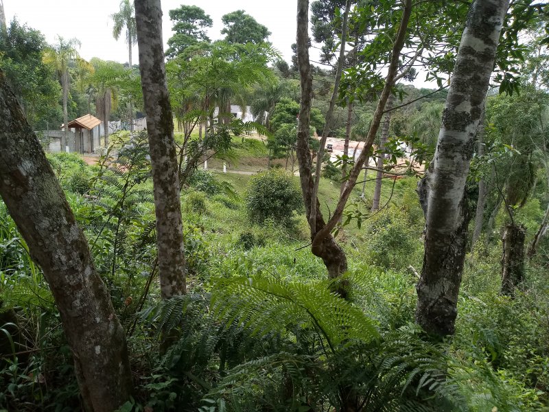 Terreno à venda mombaça com 410m² e  quartos por R$ 54.000 - 1279725031-20201026-093958.jpg