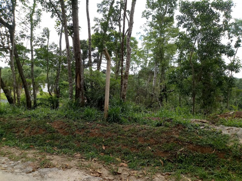 Terreno à venda mombaça com 410m² e  quartos por R$ 54.000 - 338633070-20201026-093628.jpg