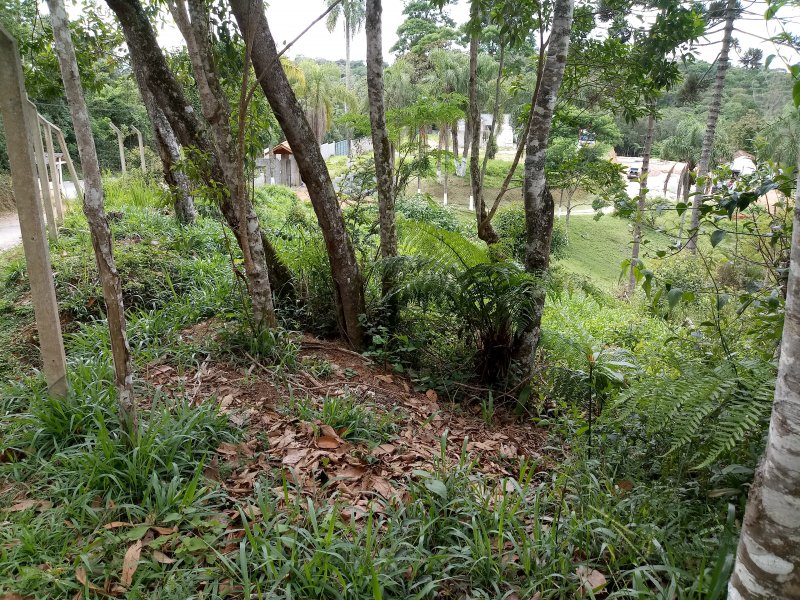 Terreno à venda mombaça com 410m² e  quartos por R$ 54.000 - 514725016-20201026-093940.jpg
