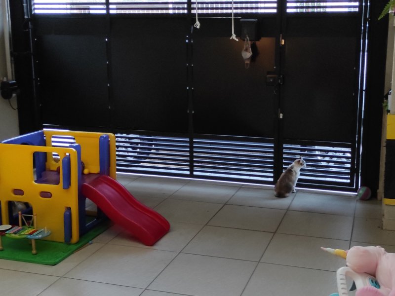 Casa à venda Vila Constança com 130m² e 3 quartos por R$ 750.000 - 960092071-12-garagem-1.jpg