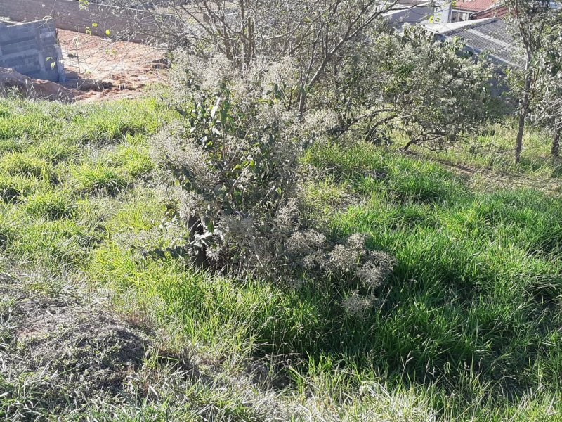Terreno à venda Loteamento Portal da Colina com 1000m² e  quartos por R$ 390.000 - 774588495-10c84ead-1a5a-4557-a36d-948da36de476.jpg
