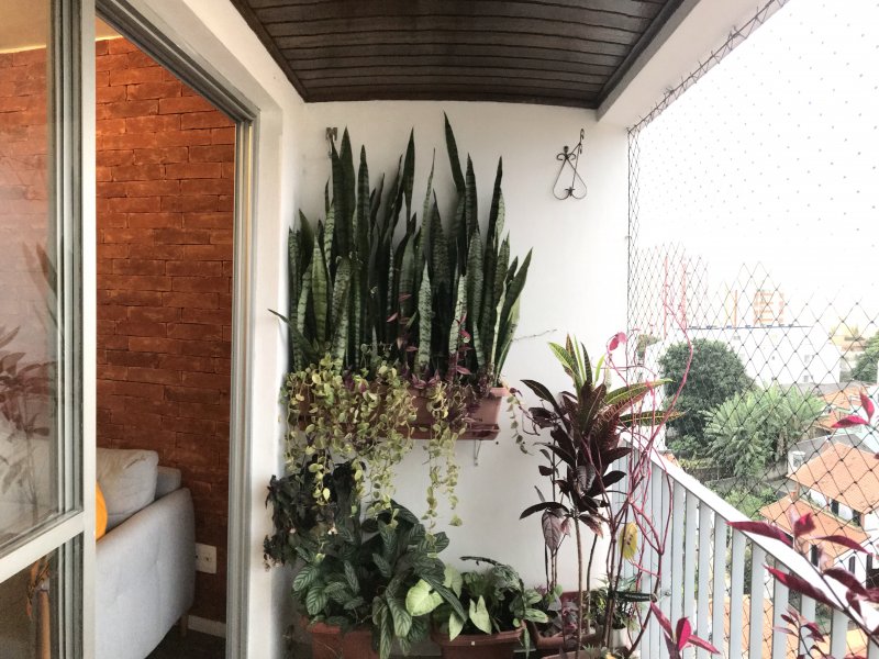 imóvel com 62m² - Chácara Seis de Outubro - São Paulo