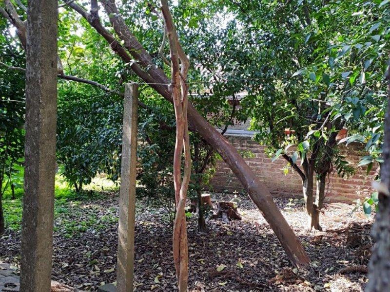 Apartamento à venda Jardim América com 127m² e 2 quartos por R$ 850.000 - 2027322485-whatsapp-image-2020-10-22-at-15.jpeg