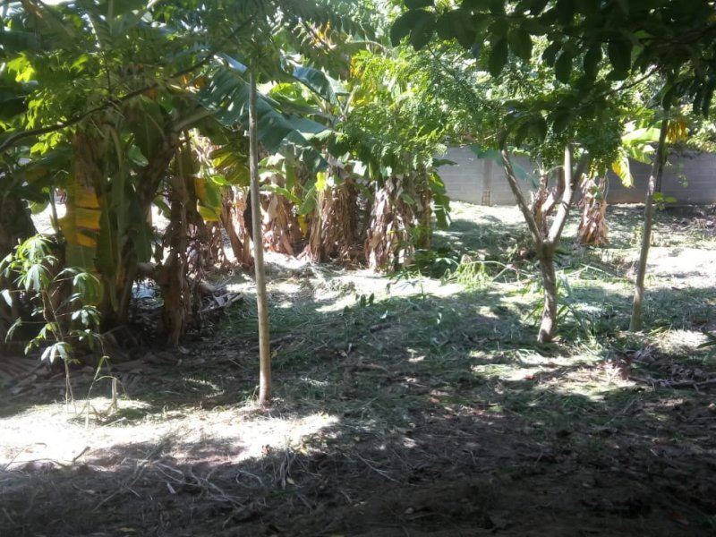 Casa à venda Porto do Carro com 800m² e 2 quartos por R$ 215.000 - 1857133401-62.jpg