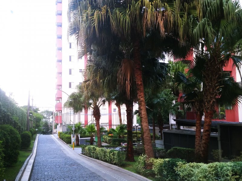 Apartamento à venda Jardim São Savério com 55m² e 2 quartos por R$ 250.000 - 1511022229-20201025-174419.jpg