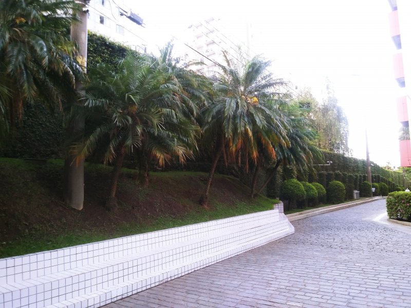 Apartamento à venda Jardim São Savério com 55m² e 2 quartos por R$ 250.000 - 1758152131-20201025-174335.jpg