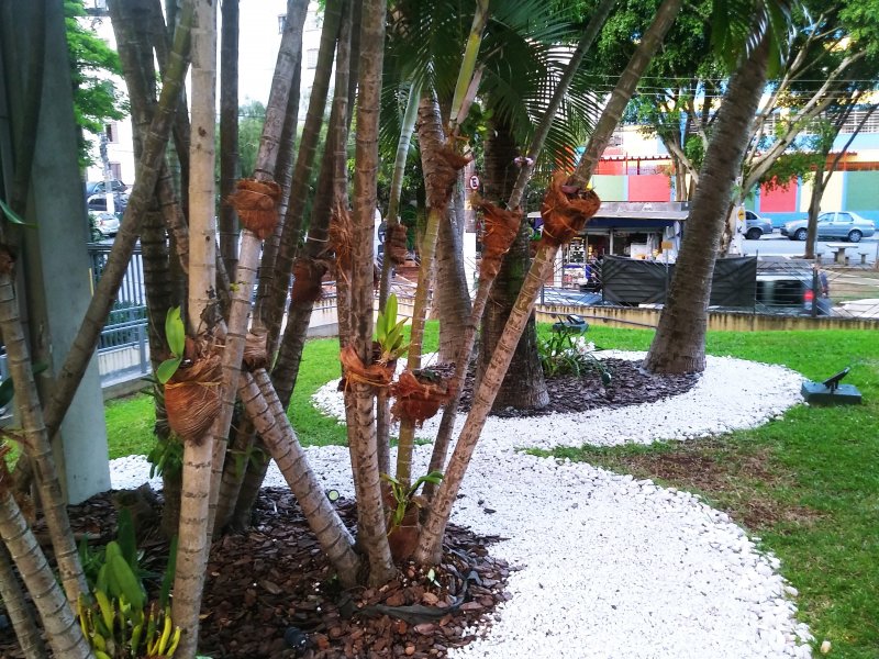 Apartamento à venda Jardim São Savério com 55m² e 2 quartos por R$ 250.000 - 585024952-20201025-174642.jpg