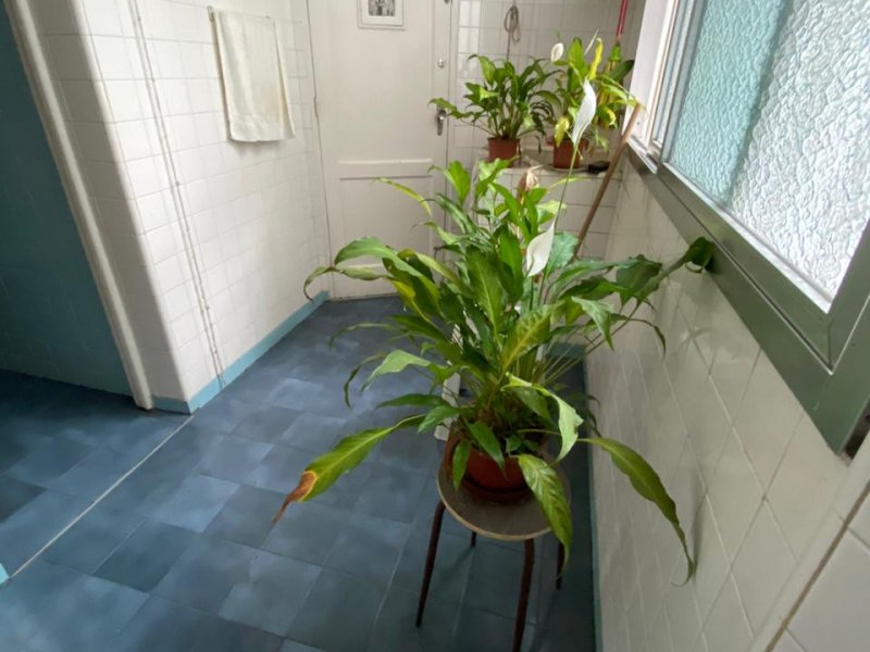 Apartamento à venda Leblon com 110m² e 3 quartos por R$ 1.800.000 - 444834177-foto-leblon-10.jpeg