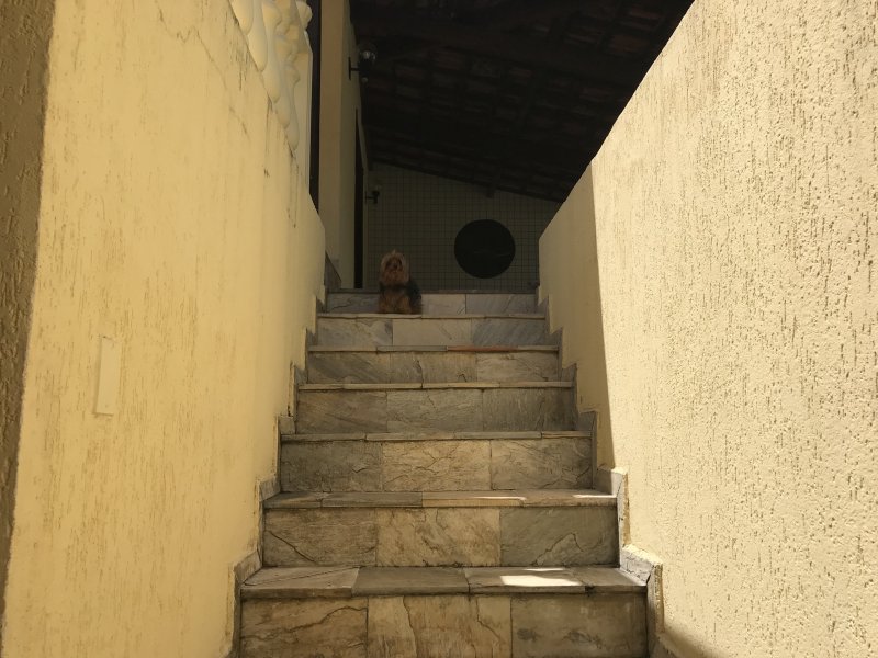 imóvel com 220m² - Paqueta - Belo Horizonte