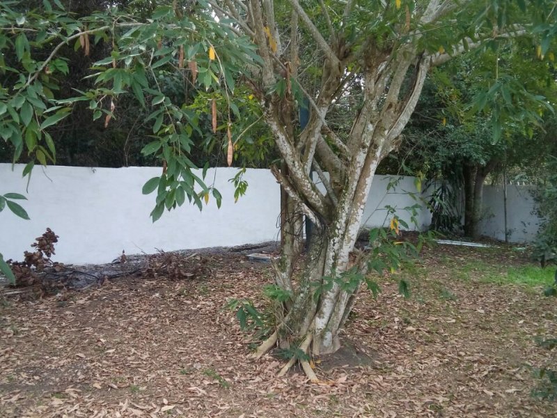 Casa à venda Zacarias com 600m² e 4 quartos por R$ 360.000 - 704164121-9ac9171e-eee3-41c7-9d3c-1a9d4d7447a9.jpg