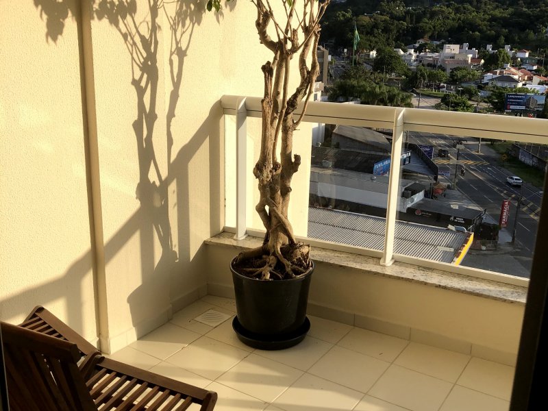 imóvel com 78m² - Itacorubi - Florianópolis