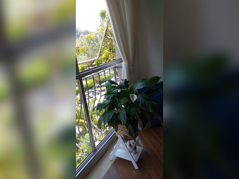 Apartamento à venda City América com 78m² e 3 quartos por R$ 480.000 - 9bed6c05-0b6e-4242-8e94-d1c90c100739.jpg