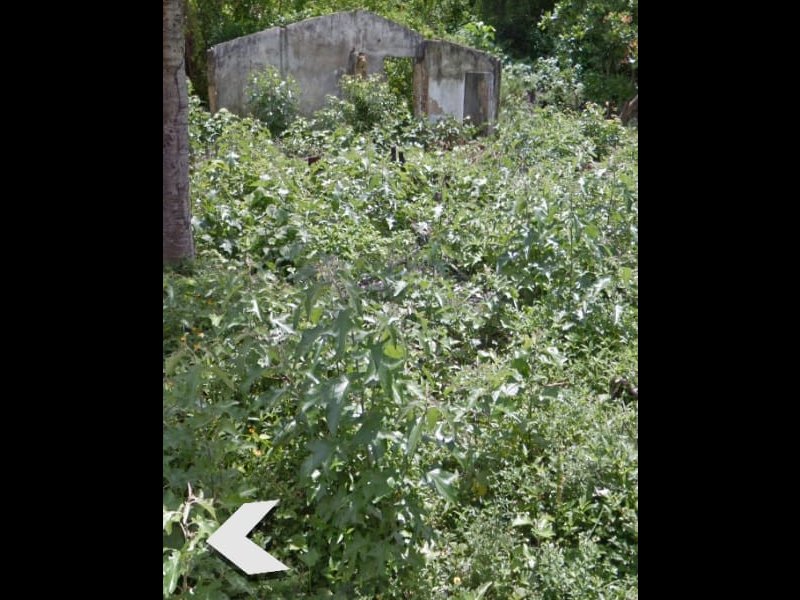 Terreno à venda Tabajara com 144m² e  quartos por R$ 10.000 - 1177143096-997ba8b8-2a63-4621-9ffb-f81788870218.jpeg