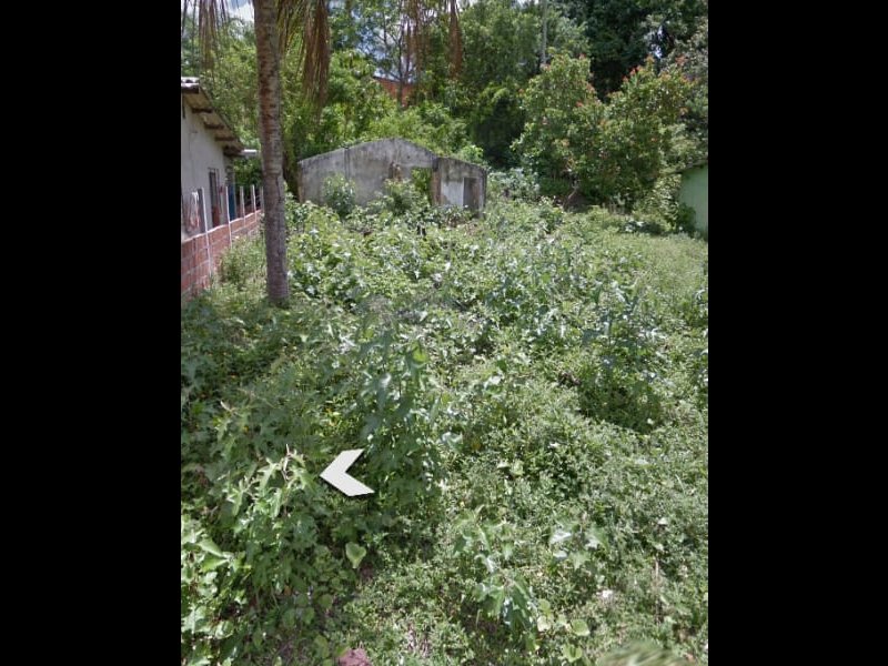 Terreno à venda Tabajara com 144m² e  quartos por R$ 10.000 - 1480747186-fbe16fac-dce9-4389-8519-51889c2972f5.jpeg