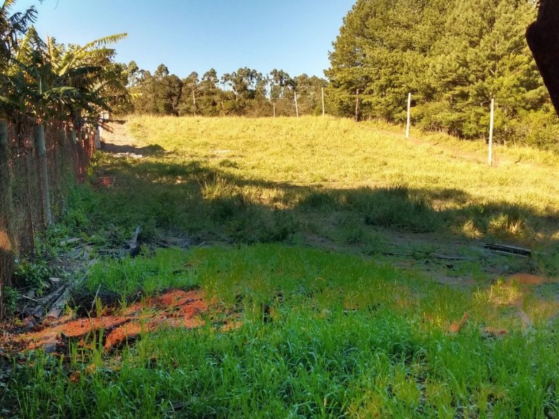 imóvel com 10500m² - Espigão - Viamao